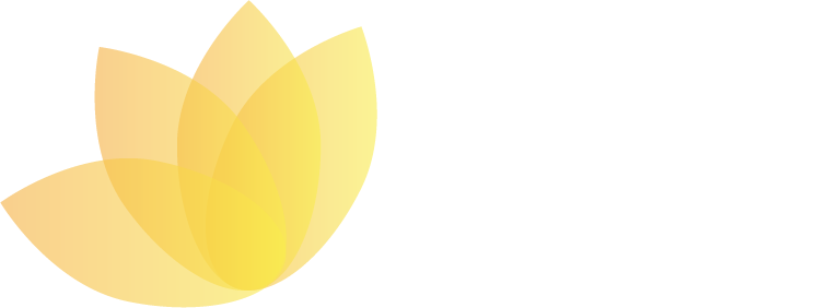 Precision Interactive Solutions